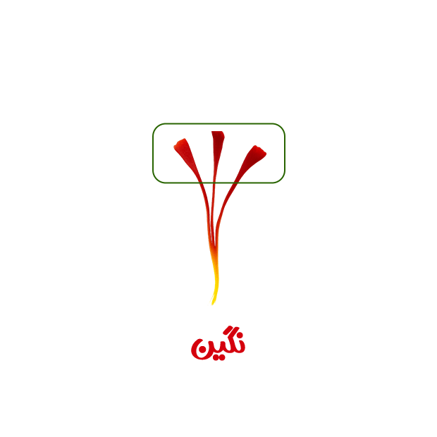 نگین
