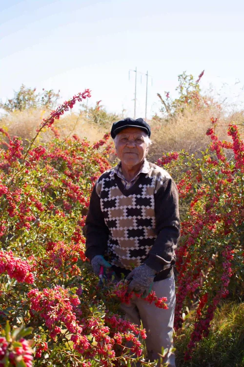 image-osaffron-farmer.v7