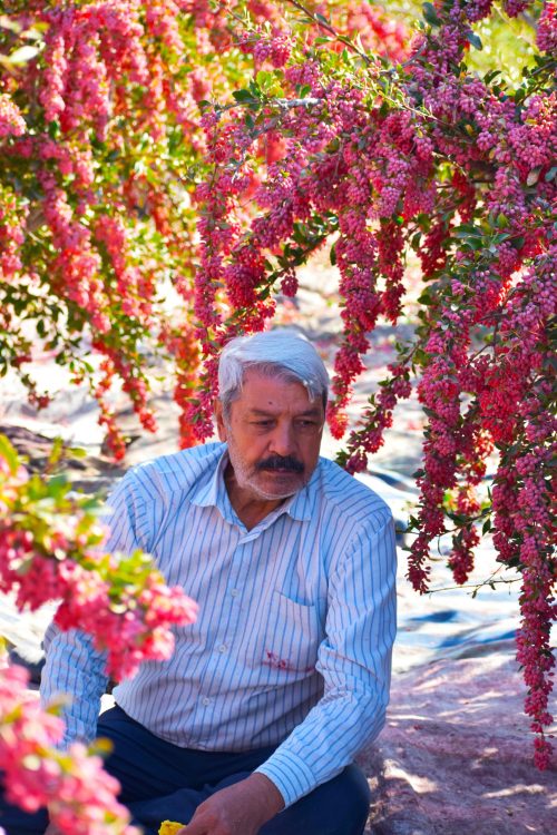 image-osaffron-farmer.v13