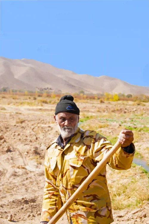 image-osaffron-farmer.v10