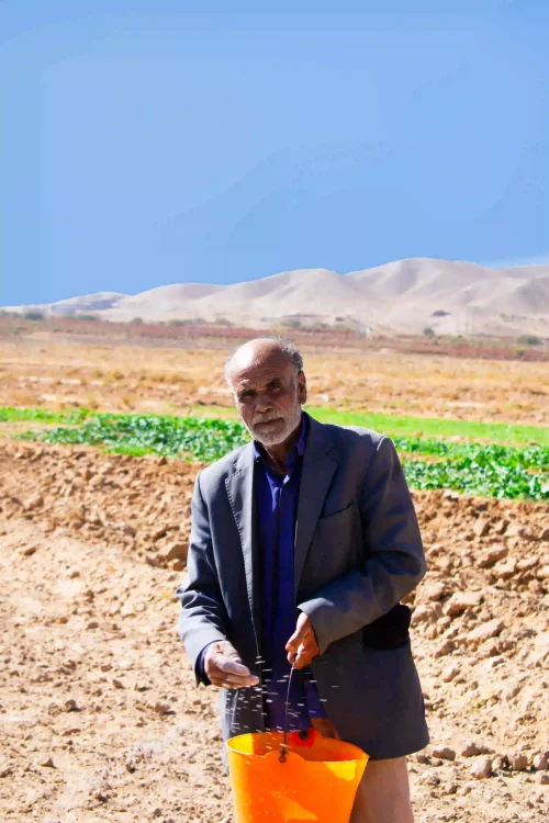 image-osaffron-farmer.v9