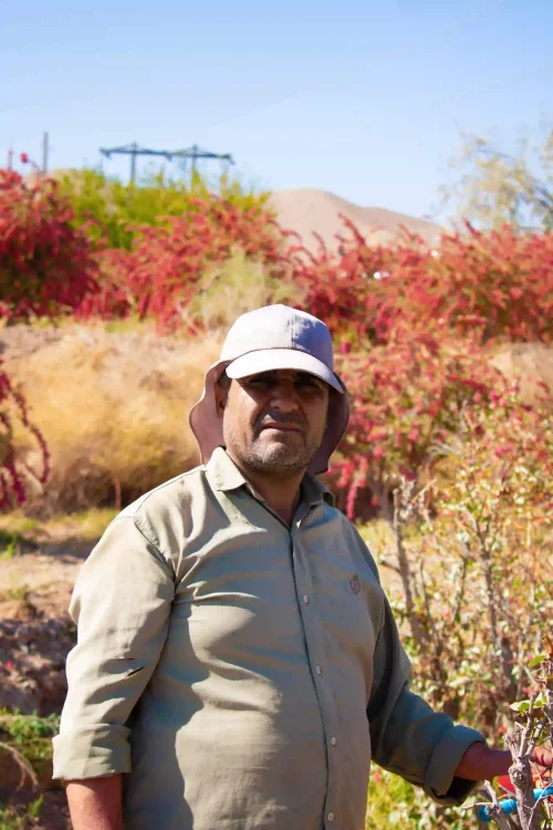 image-osaffron-farmer.v5